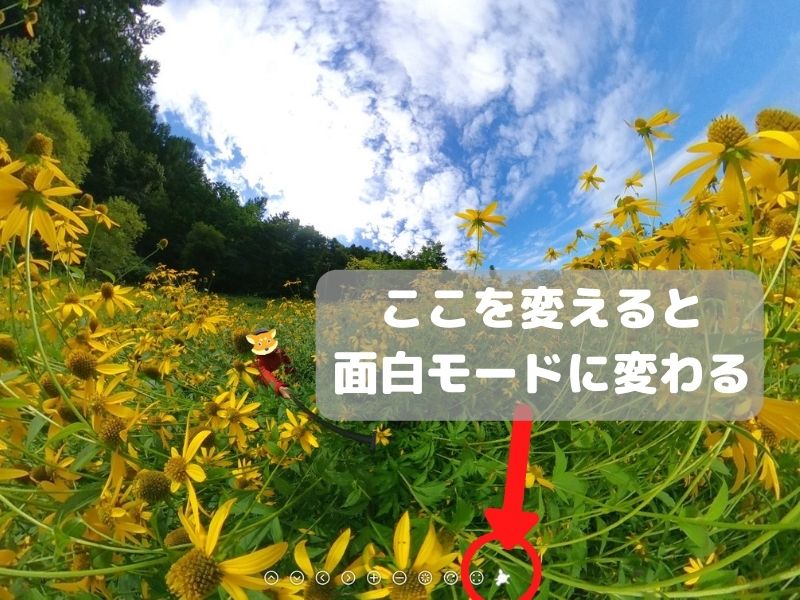 THETA360 でリトルプラネット