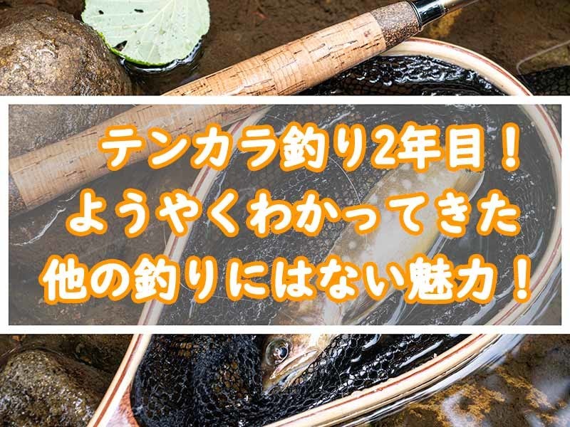 テンカラ釣り2年目でわかってきた他の釣りにはない9つの魅力 ぜつえんアウトドア