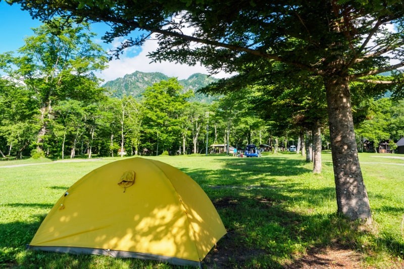 夏場のキャンプ場で木陰にテントを張る