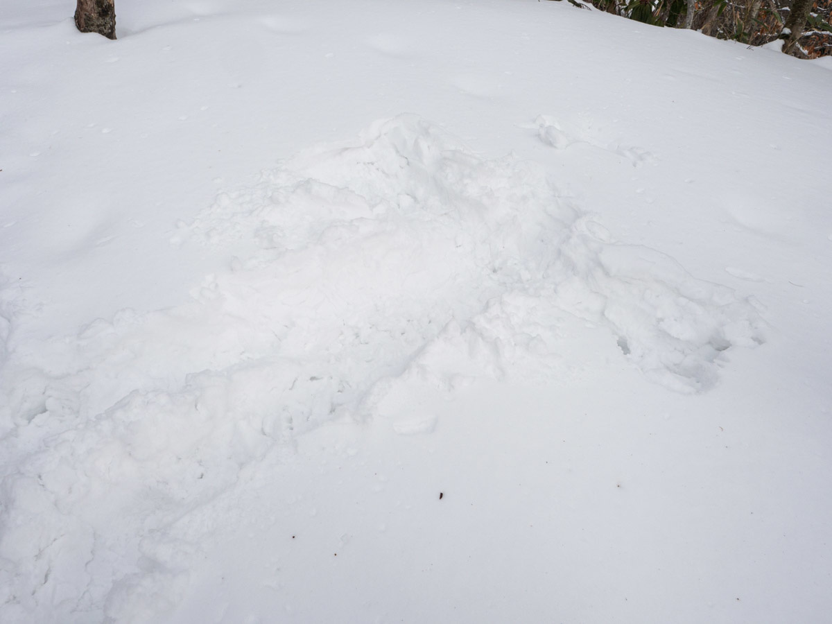 雪に倒れて天使の模様