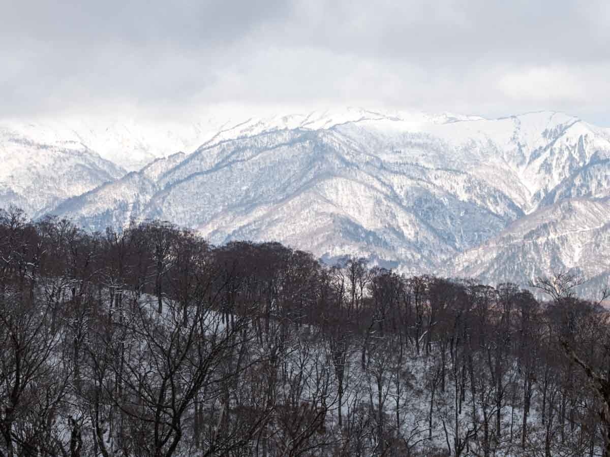 大日ヶ岳から見た白山