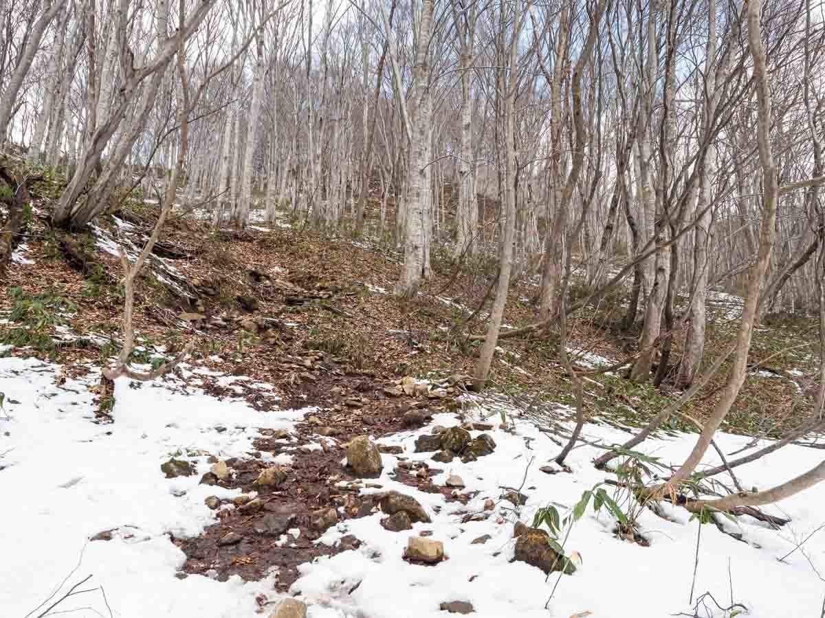 3月の白毛門登山道