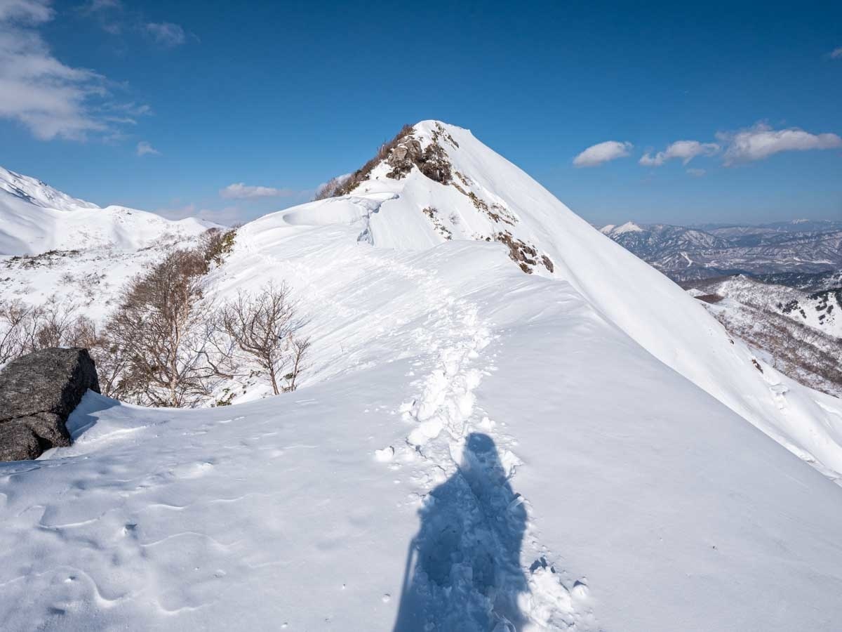 白毛門山頂手前