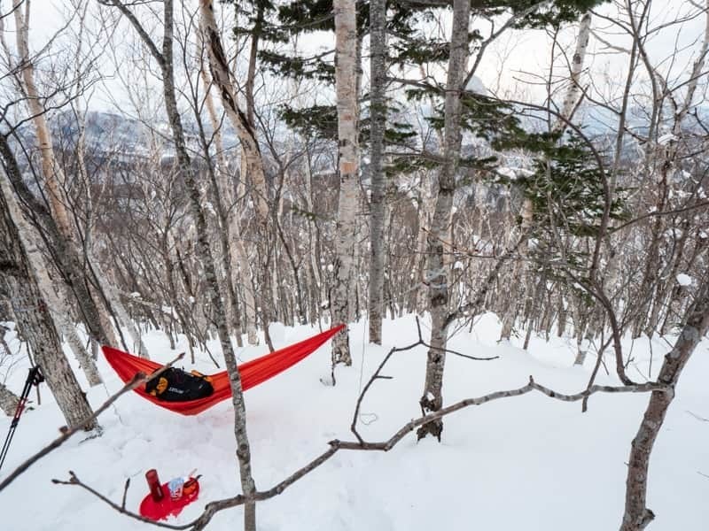 雪山低山の斜面でハンモックを張る