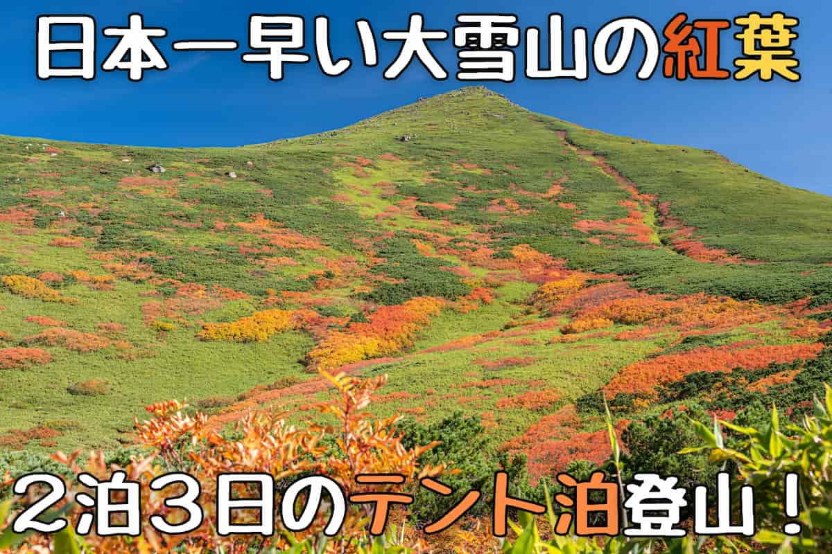 大雪山 紅葉 テント泊登山