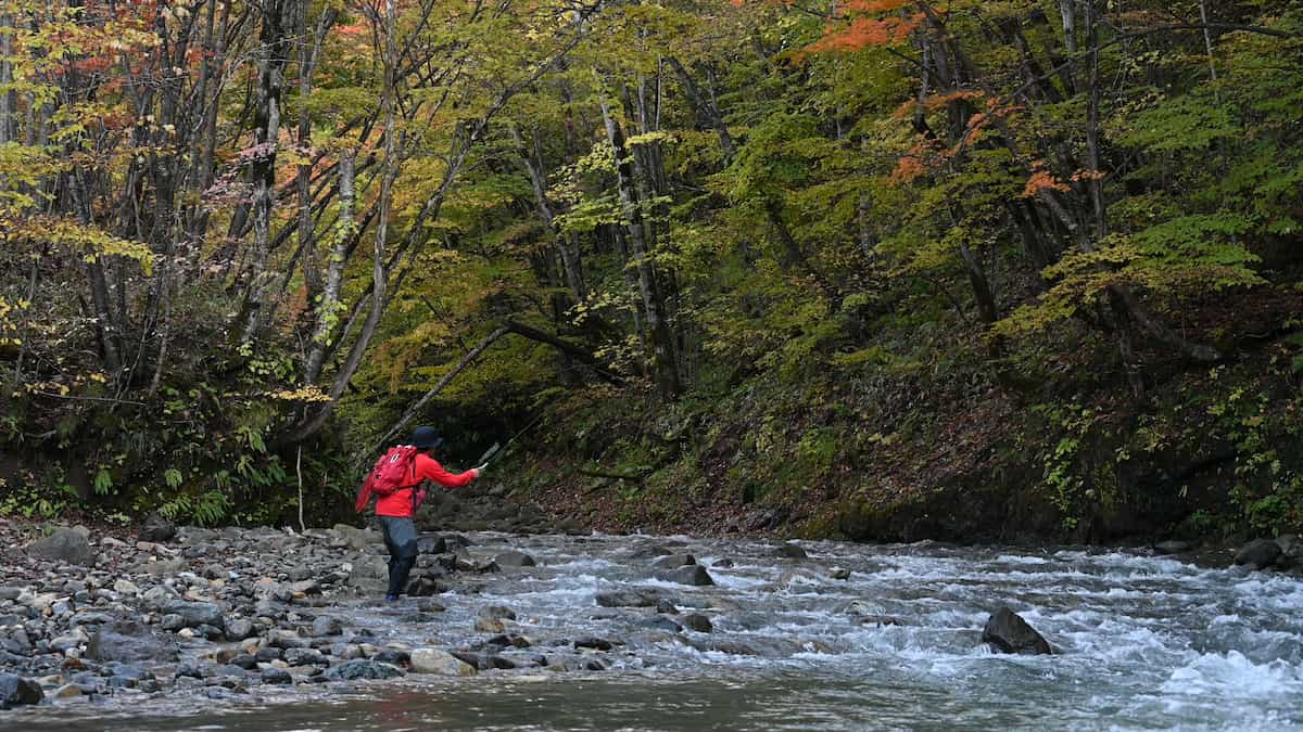 SHIMANO 天平テンカラNB LLS33レビュー