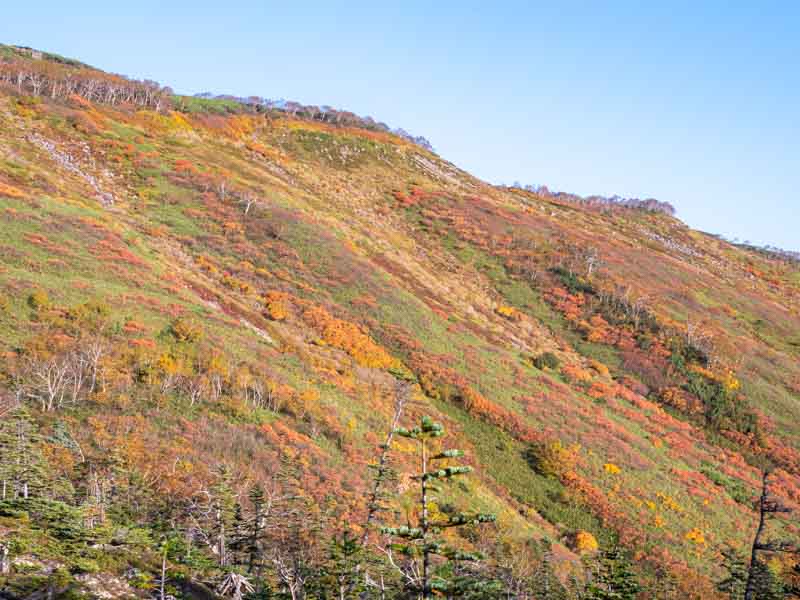 銀泉台 第一花園