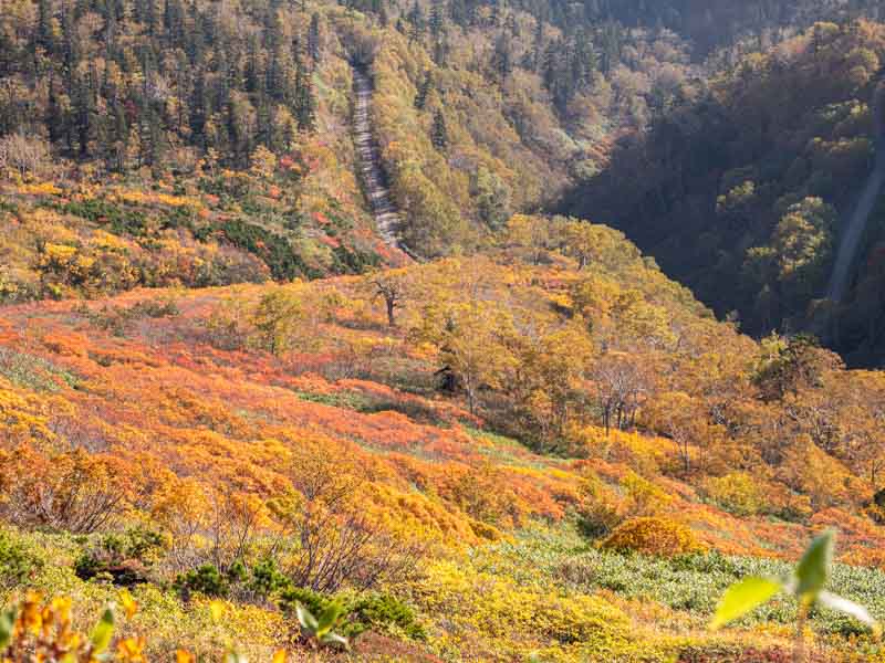 銀泉台 第一花園