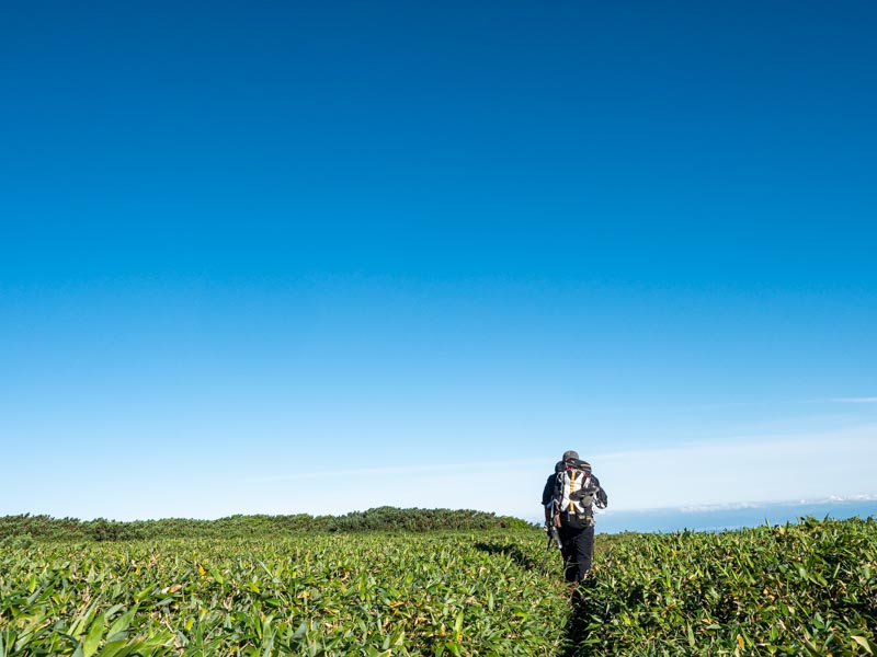 旭岳から富良野岳へ縦走