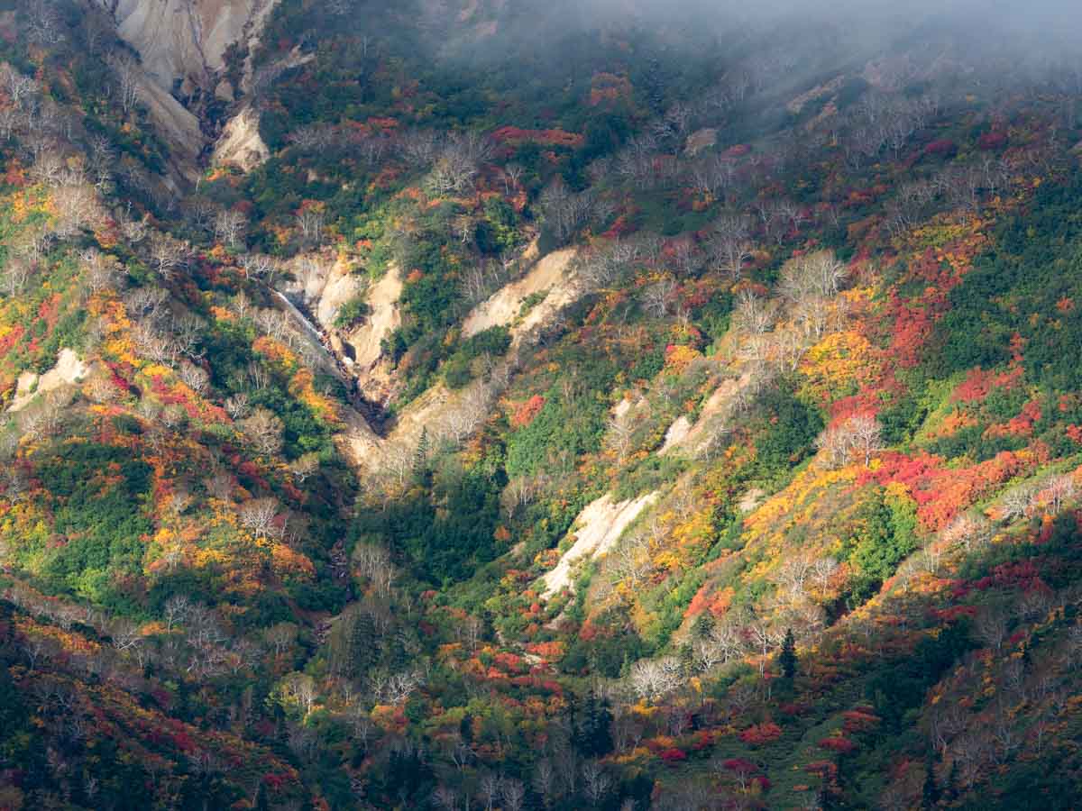 大雪山