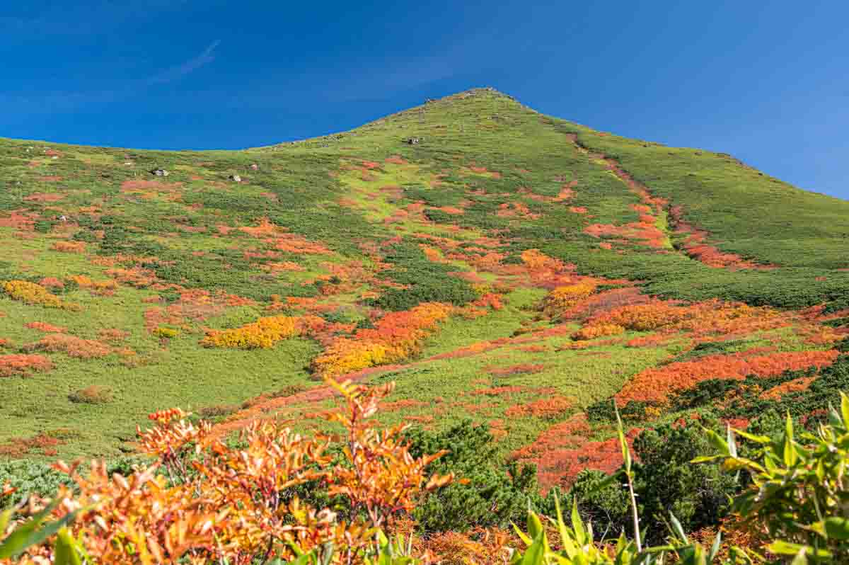 大雪山 テント泊登山