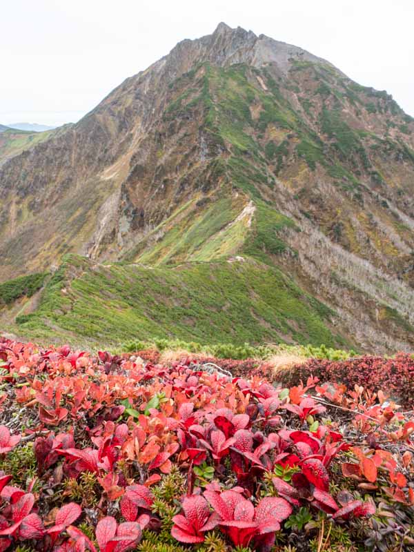 ニペソツ山と紅葉