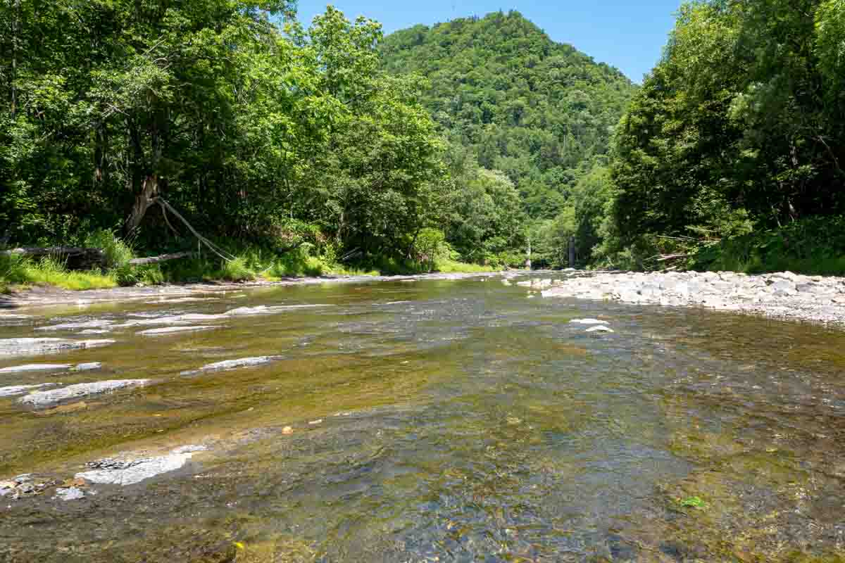 透明度の高い川