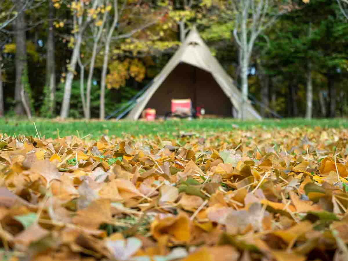 紅葉のキャンプ