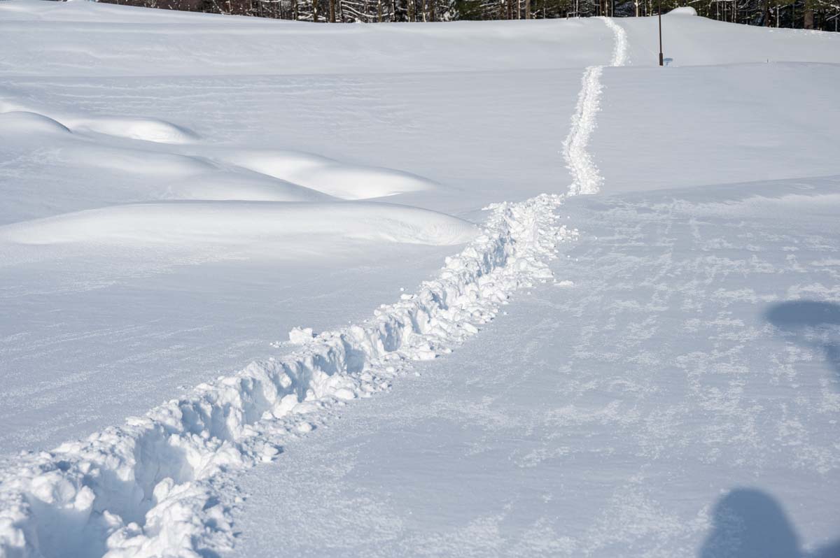 雪道