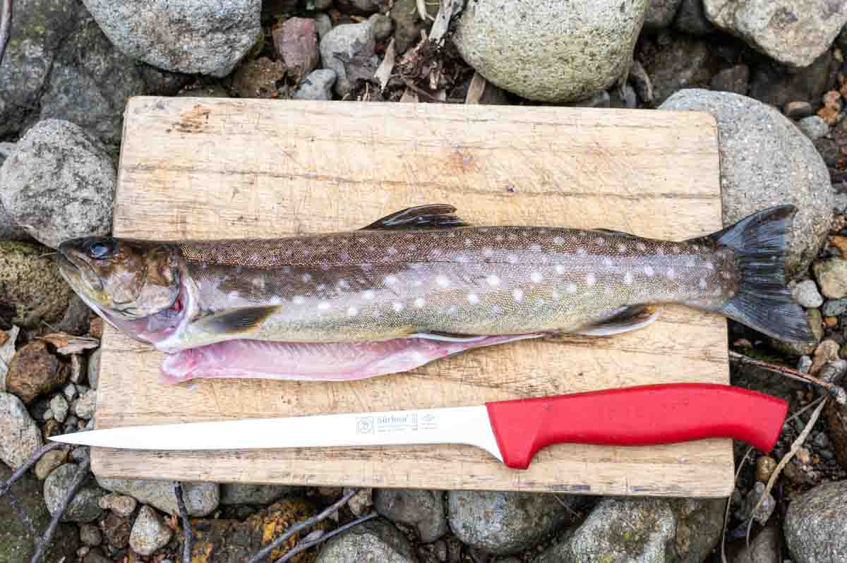 ダイソー 桐まな板 魚をさばく