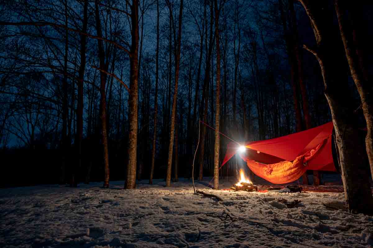 静かな森の中で一人野営キャンプをする