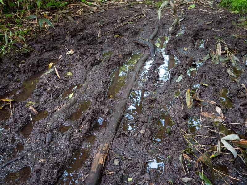 クチャンベツ沼ノ原～トムラウシ 登山