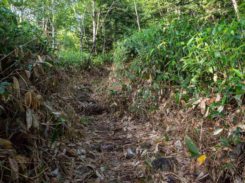 クチャンベツ沼ノ原～トムラウシ 登山