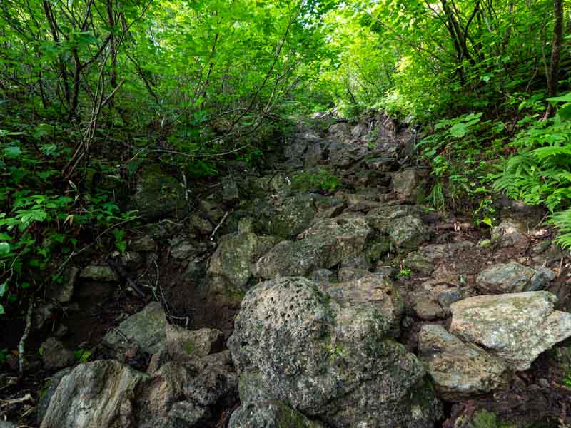 クチャンベツ沼ノ原～トムラウシ 登山