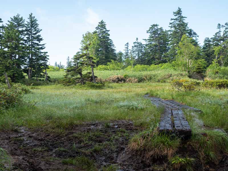 クチャンベツ沼ノ原～トムラウシ 登山