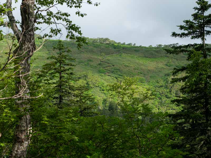 クチャンベツ沼ノ原～トムラウシ 登山