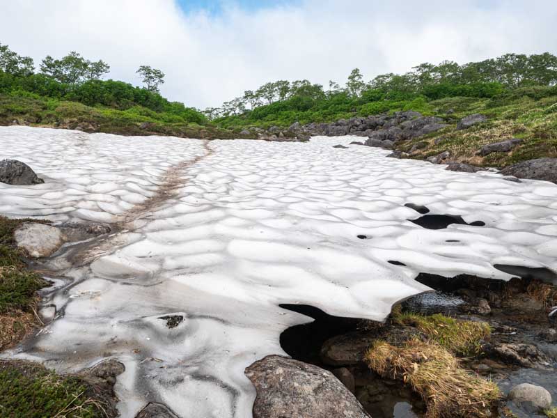 クチャンベツ沼ノ原～トムラウシ 登山