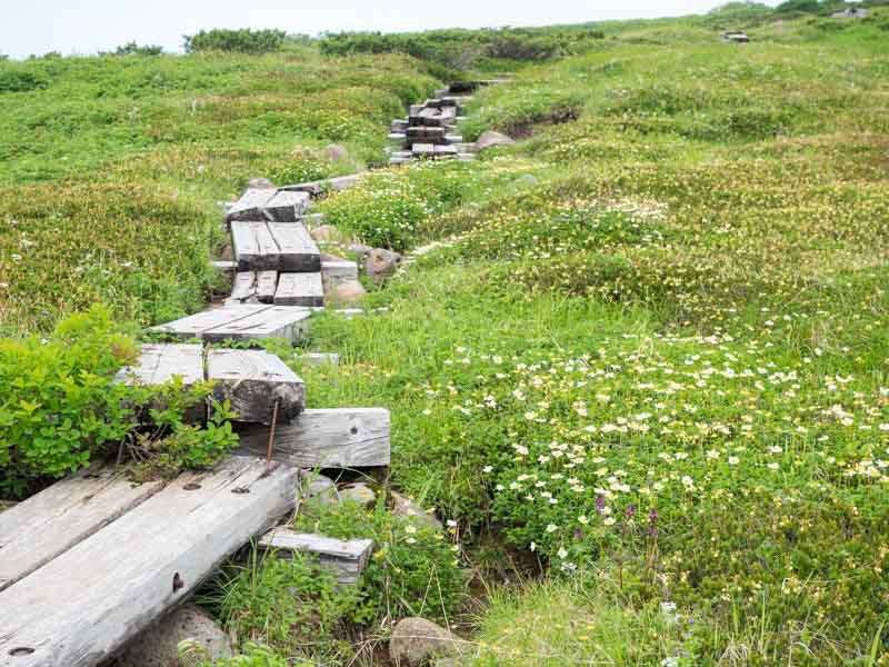 クチャンベツ沼ノ原～トムラウシ 登山