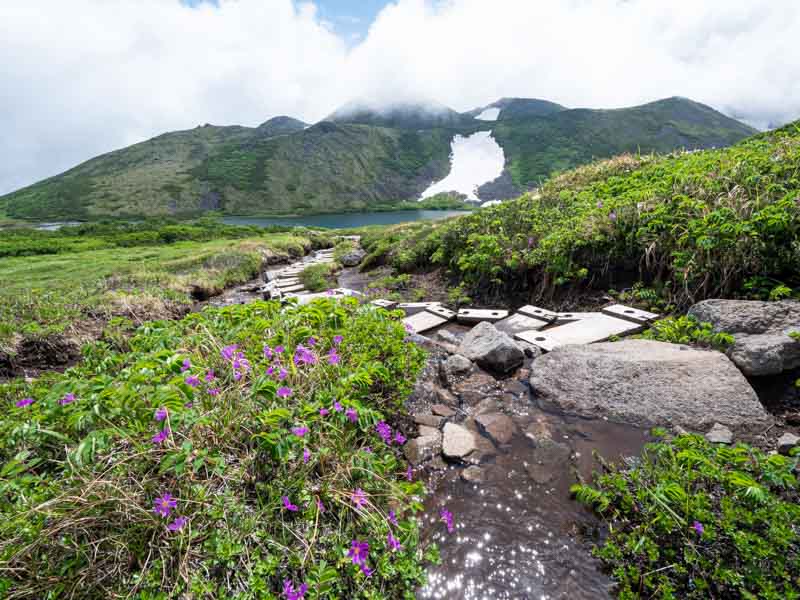 クチャンベツ沼ノ原～トムラウシ 登山