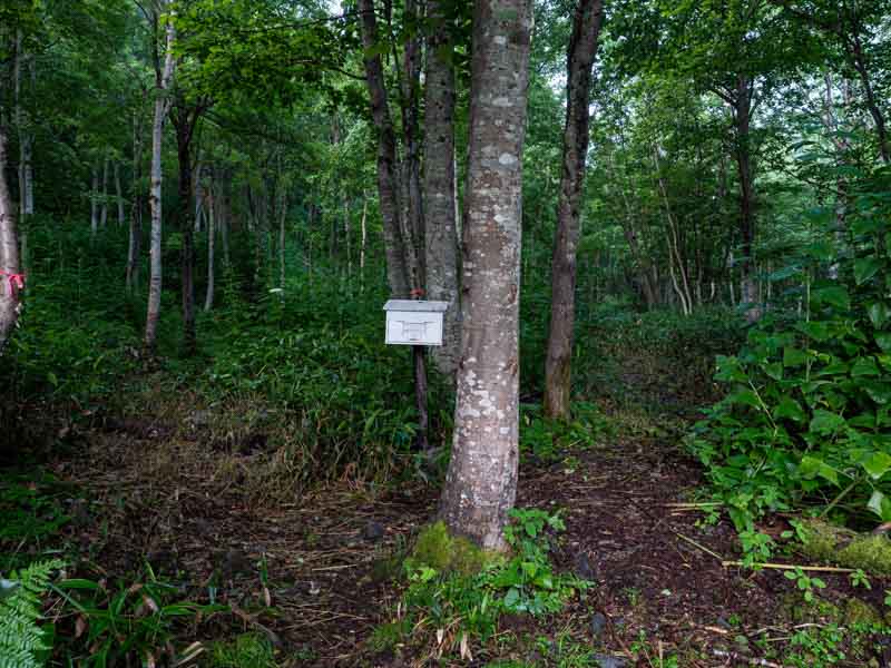 クチャンベツ沼ノ原～トムラウシ 登山