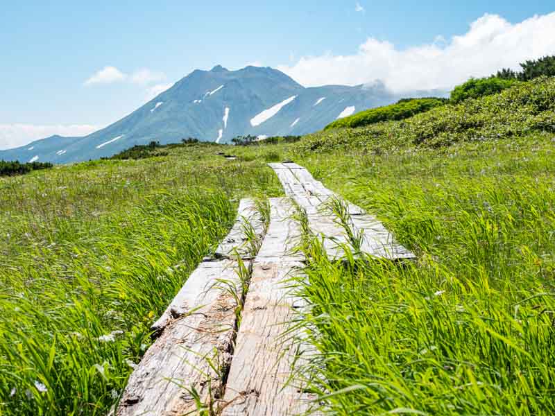 クチャンベツ沼ノ原～トムラウシ 登山