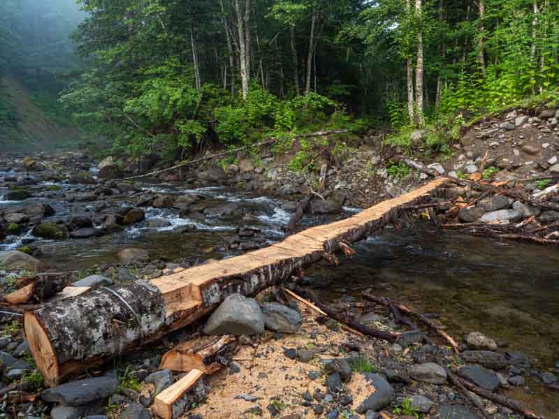 クチャンベツ沼ノ原～トムラウシ 登山 渡渉の木橋