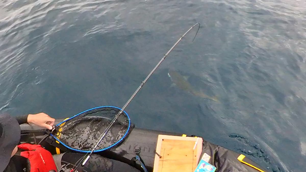 パックラフトでブリ釣り