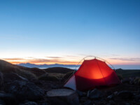 MOBI GARDEN LIGHT WINGS DAC UL1