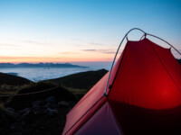 MOBI GARDEN LIGHT WINGS DAC UL1