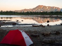 MOBI GARDEN LIGHT WINGS DAC UL1