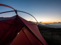 MOBI GARDEN LIGHT WINGS DAC UL1