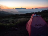 MOBI GARDEN LIGHT WINGS DAC UL1