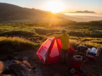 MOBI GARDEN LIGHT WINGS DAC UL1