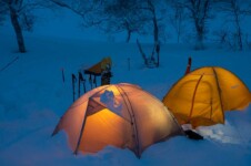 THE FREE SPIRITS GEMINI