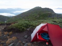 MOBI GARDEN LIGHT WINGS DAC UL1