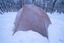 THE FREE SPIRITS GEMINI