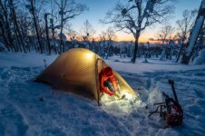 THE FREE SPIRITS Pangolin pro