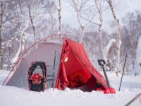 MOBI GARDEN LIGHT WINGS DAC UL1