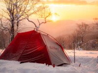 MOBI GARDEN LIGHT WINGS DAC UL1