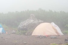 THE FREE SPIRITS GEMINI