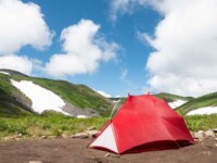 MOBI GARDEN LIGHT WINGS DAC UL1