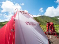 MOBI GARDEN LIGHT WINGS DAC UL1