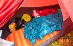 MOBI GARDEN LIGHT WINGS DAC UL1