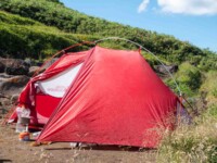 MOBI GARDEN LIGHT WINGS DAC UL1